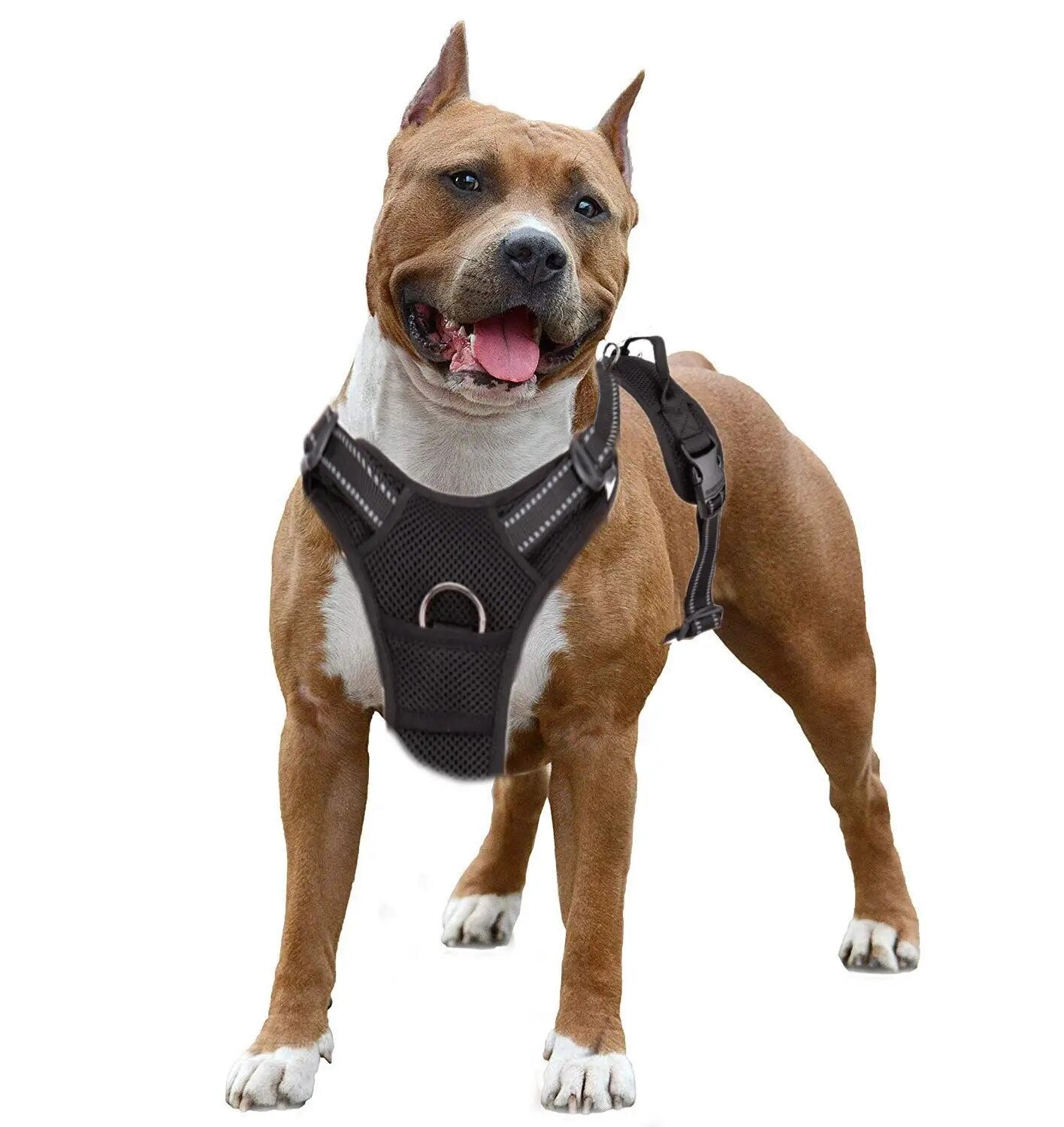 Truelove Pet Dog Harness Breathable Mesh Padded Outdoor Sport No Pull Vest Adjustable Harness For Medium Large Dog Accessories