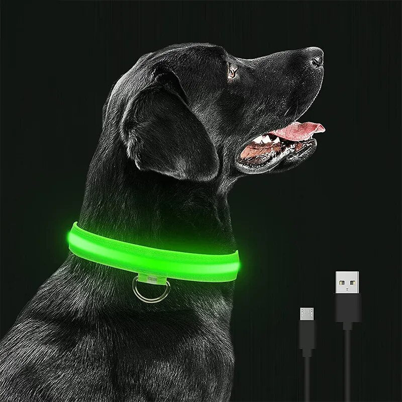 LED Glowing Dog Collars Rechargeable Waterproof Luminous Collar Adjustable Dog Night Light Collar Pet Dog Safety Necklace