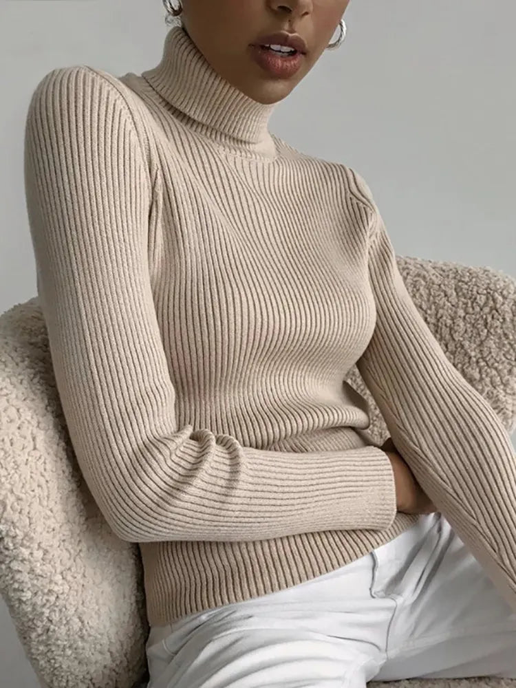 Heliar Women Fall Turtleneck Sweater Knitted Soft Pullovers Cashmere Jumpers Basic Soft Sweaters For Women 2023 Autumn Winter